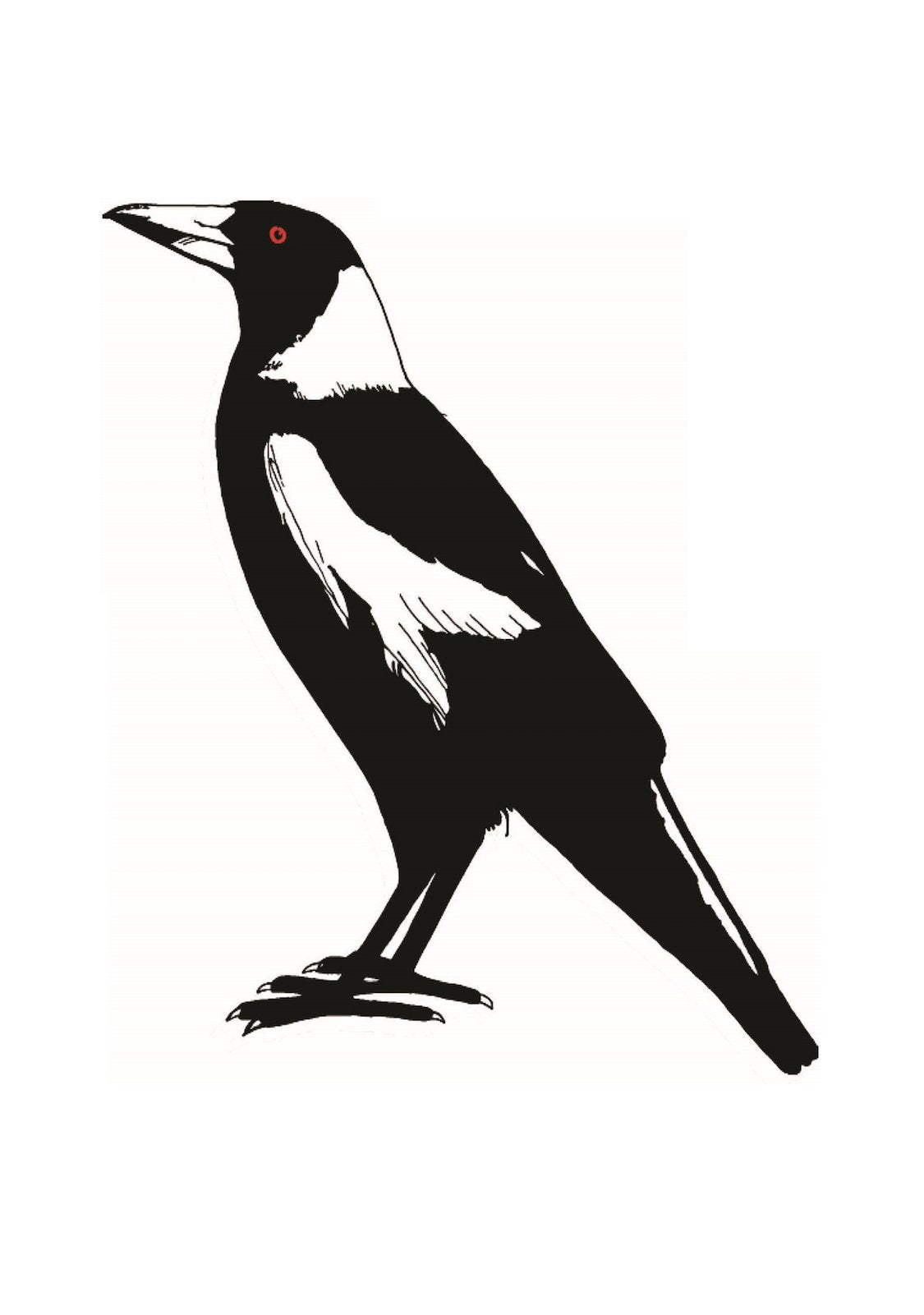 Tea Towel - Large Magpie