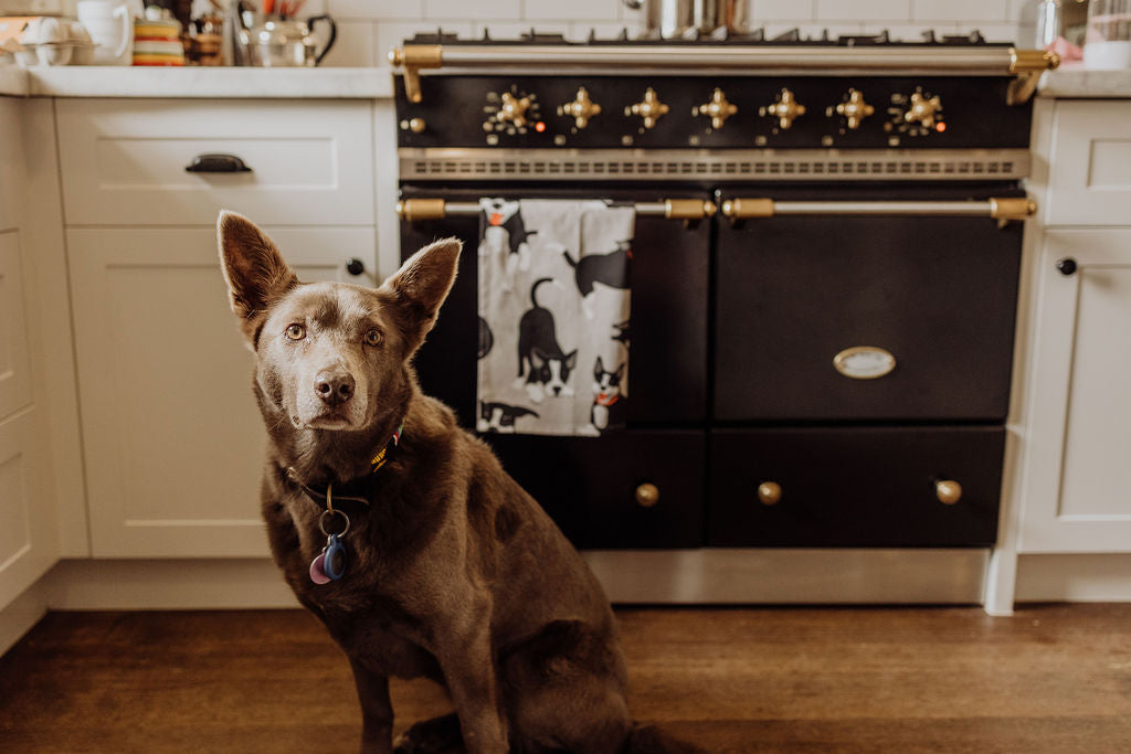 Tea Towel - Farm Dogs
