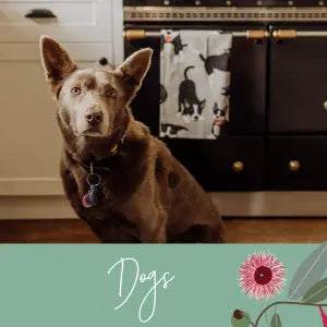 SHOP-BY-DOGS Allgifts Australia