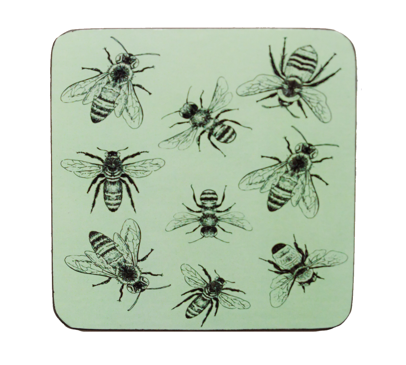 Coasters (set of 4) - Sketch Bees