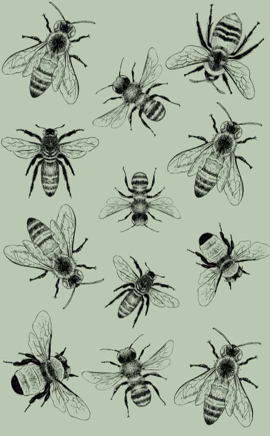 Tea Towel - Sketch Bees